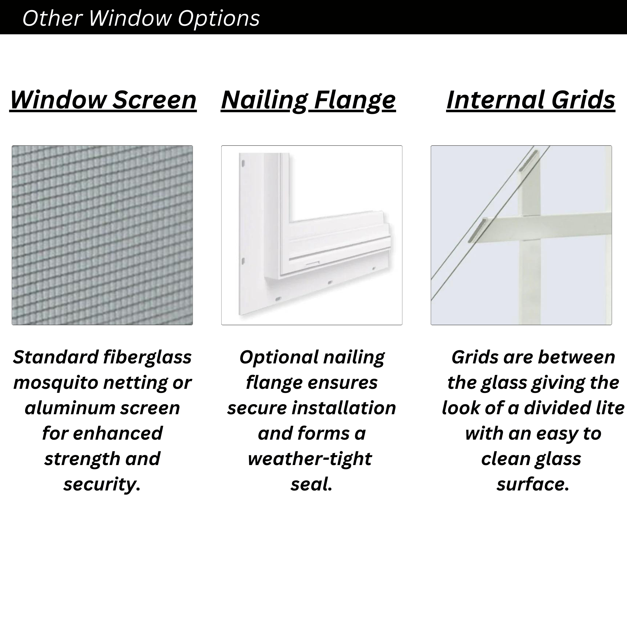Double Hung Windows